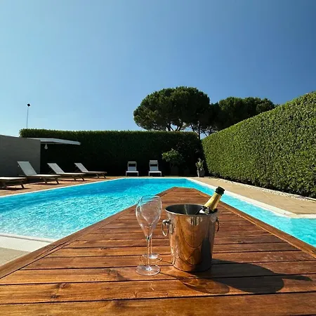 Luxury Design Pool And Solarium